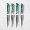 Aonami Damascus Steak Knife Bundle